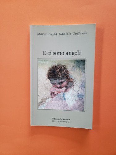 Libro sono angeli - e,